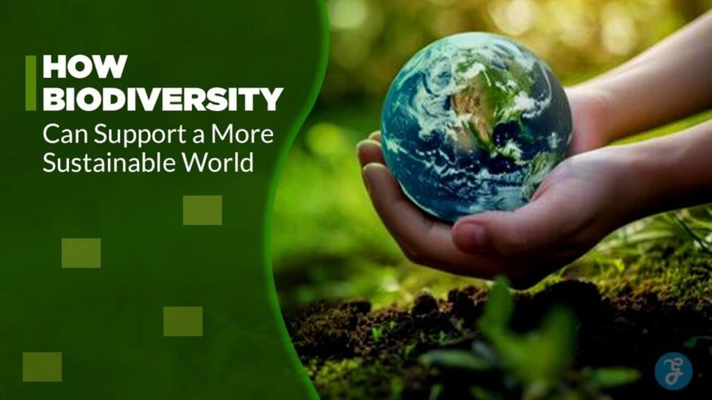 biodiversity for a sustainable world
