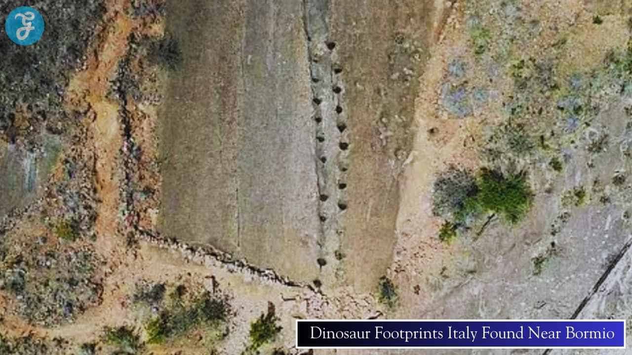 dinosaur footprints Italy