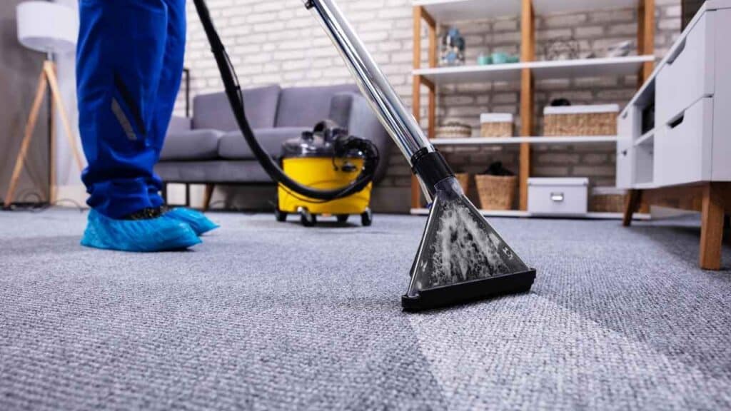 professional carpet cleaning