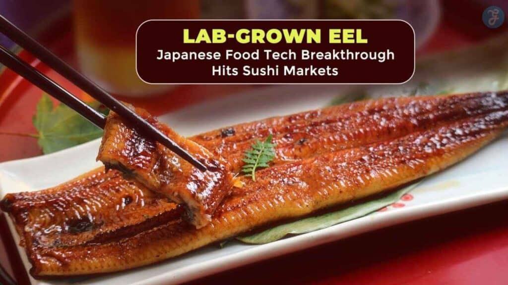 Lab Grown Eel