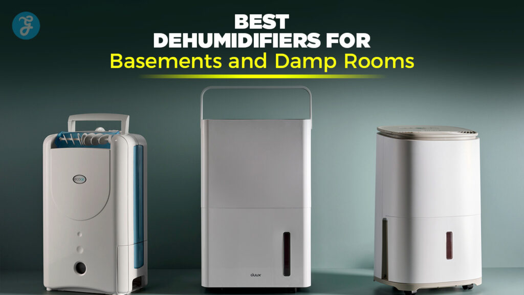 Best dehumidifiers for basements