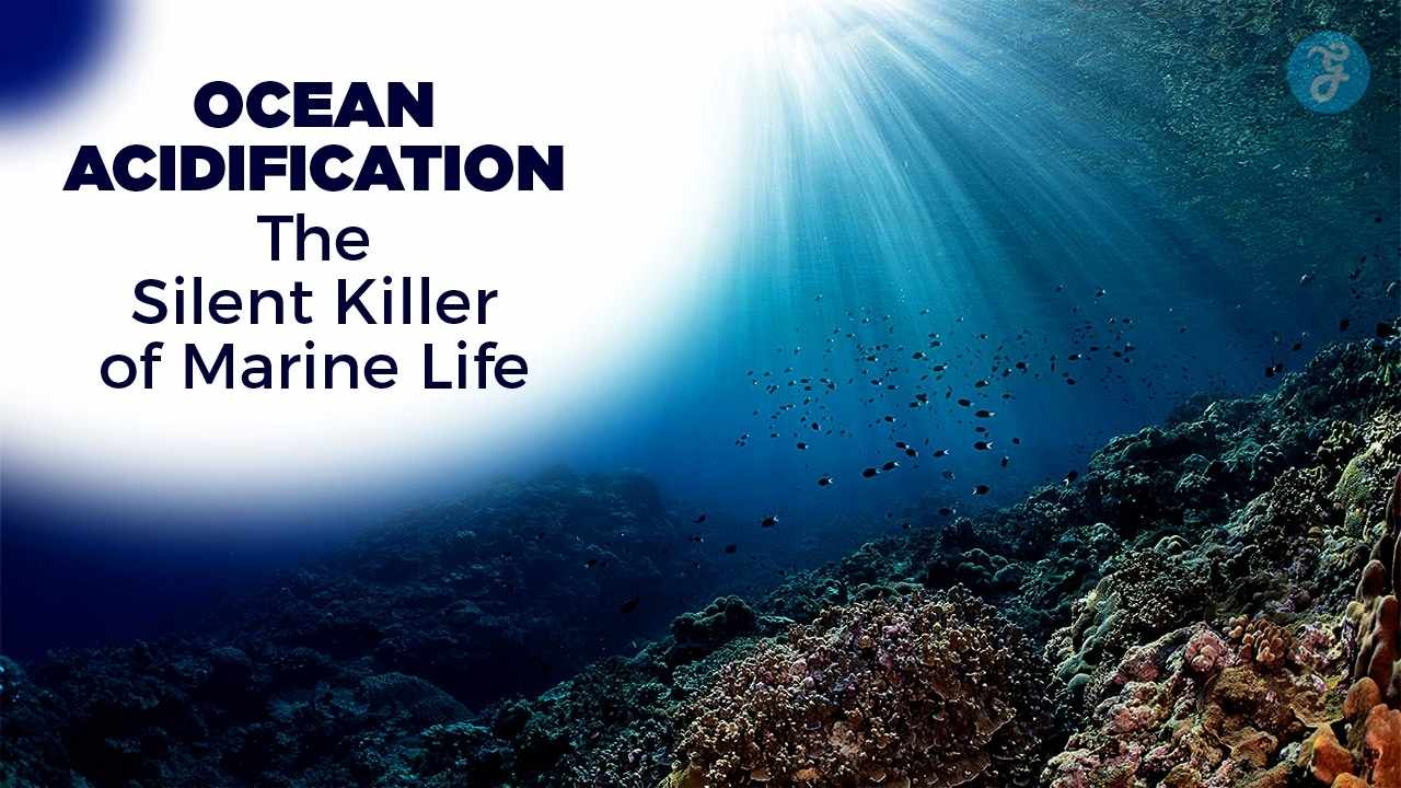 Ocean Acidification