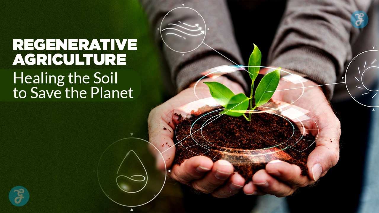 Regenerative Agriculture
