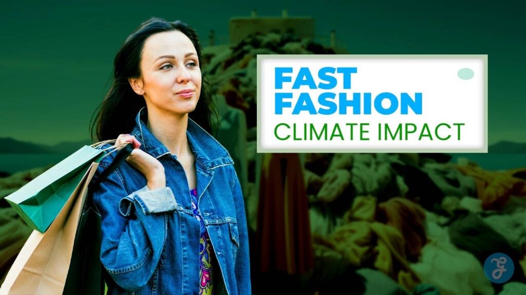 environmental impact of fast fashion