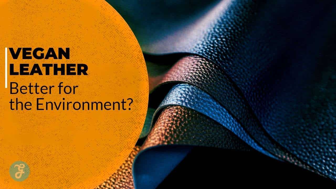 vegan leather: is it truly sustainable