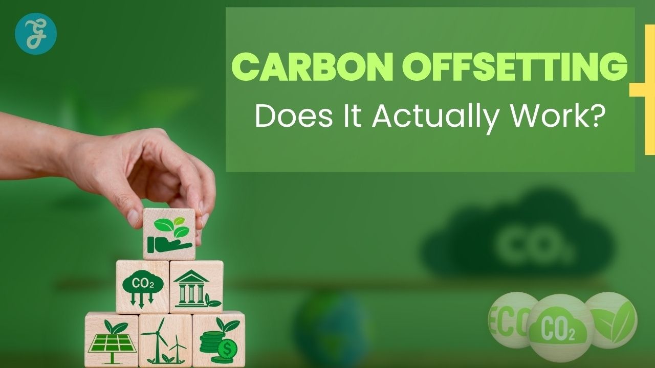 Carbon Offsetting
