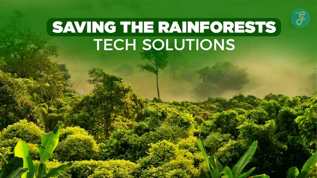 Saving the Rainforests Tech Solutions