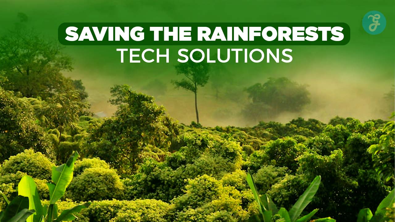 Saving the Rainforests Tech Solutions