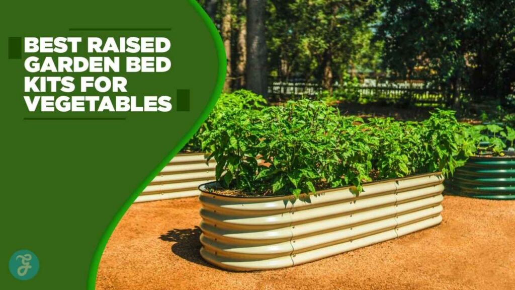 best raised garden bed kits for vegetables